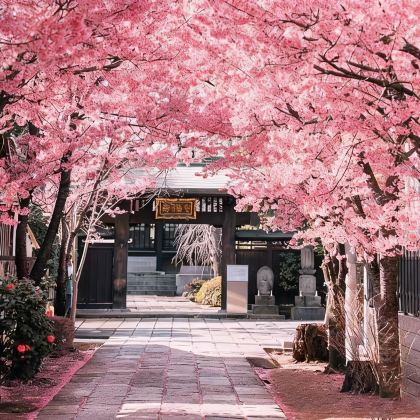 日本东京+富士山5日4晚私家团