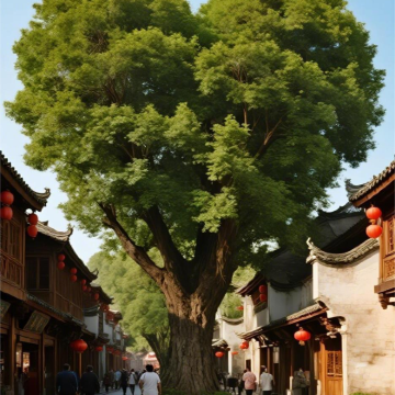 福州+平潭岛+霞浦5日4晚拼小团