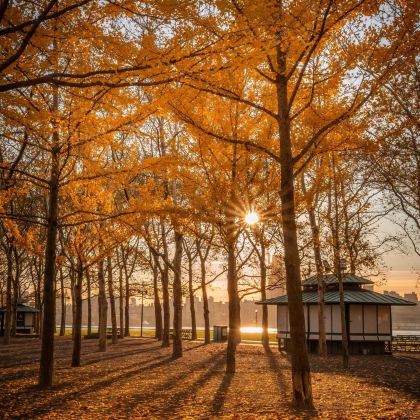 纽约5日4晚拼小团