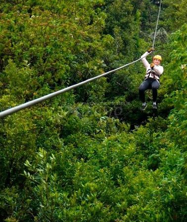 3D2N • 3 Days - 2 Nights: Arenal Volcano & Monteverde Adventure from San Jose