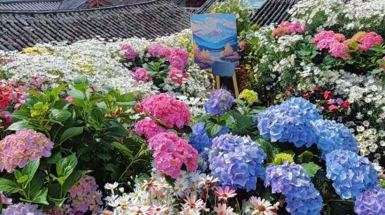 6日5晚 · 旅行团 · 云南昆明＋大理市＋丽江·天天发班+保证成团+2+1头等舱大巴+玉龙雪山登顶+洱海豪华大游船+赠特色民族演出+出发前2天可无损取消