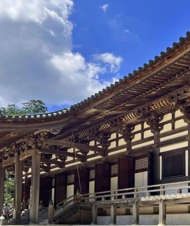 2D1N • From Osaka: 2-Day Mount Koya and Wakayama City Tour
