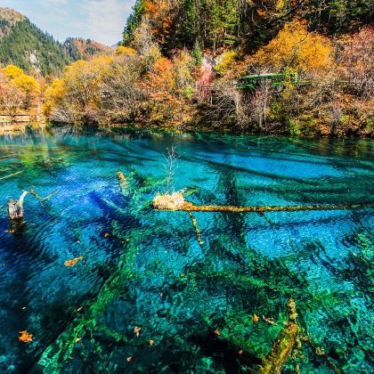 摄影·九寨沟风景区+毕棚沟+达古冰川风景区5日4晚半自助游