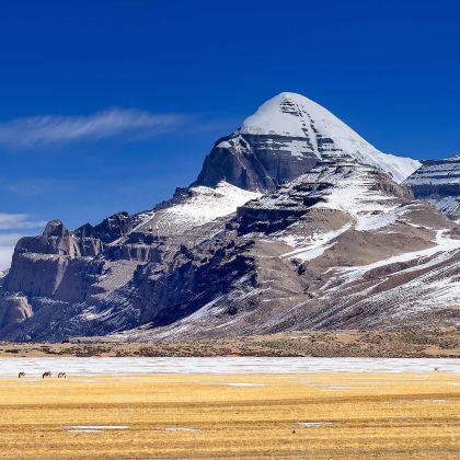 拉萨+林芝+雅鲁藏布大峡谷+墨脱+羊卓雍错+冈仁波齐+纳木措景区15日14晚私家团