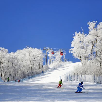 长白山4日3晚自由行