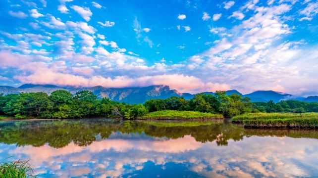 神农架、宜昌+2