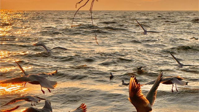 6-Day Yunnan Private Tour from Kunming·Dali, Lijiang, Yulong Snow Mountain | Erhai Ecological Corridor | Stone Forest Scenic Area | The Chongsheng Temple and the Three-Pagoda Culture Tourist Area