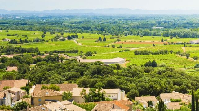 <14天>【易游欧洲 1人成团】欧洲3国畅游+法国+西班牙+葡萄牙·附赠巴塞罗那Citywalk+浪漫南法+热情西班牙+阳光伊比利亚+巴塞罗那/巴黎/马德里均可上下团+（单人免费拼房/欧陆式早餐/华人导游）