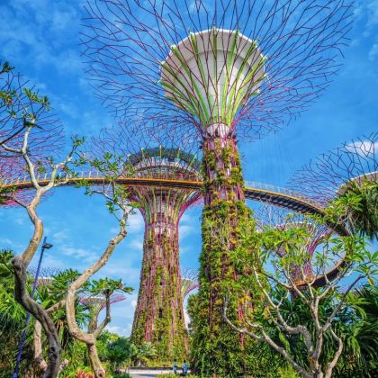 新加坡+新加坡环球影城+哈芝巷+圣约翰岛8日7晚拼小团