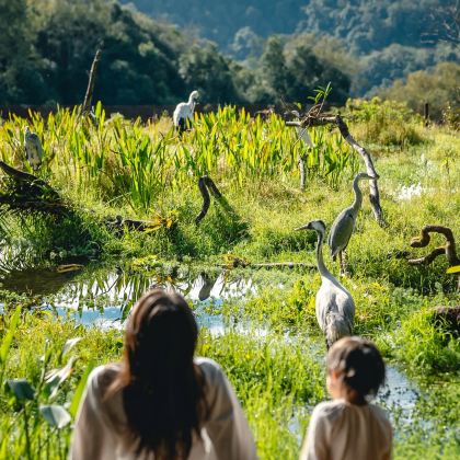 西双版纳+普洱6日5晚私家团