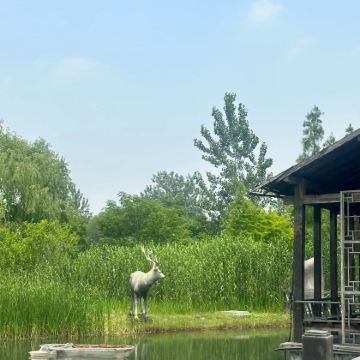 凤城河风景区+泰州老街+古光孝寺+江苏盐税博物馆+溱湖国家湿地公园+溱潼古镇2日1晚私家团