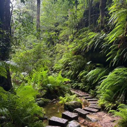 澳大利亚7日6晚私家团