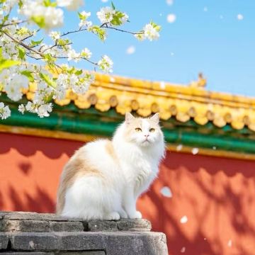 北京+华东5市+周庄+西湖风景名胜区10日9晚跟团游