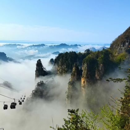 张家界+武陵源+天门山3日2晚私家团