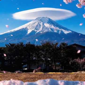 日本东京5日4晚私家团