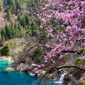 九寨沟风景区+黄龙风景名胜区3日2晚私家团
