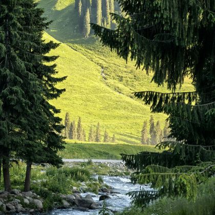 新疆北疆+伊犁+喀纳斯景区+那拉提旅游风景区+禾木风景区+赛里木湖+乌鲁木齐8日7晚私家团