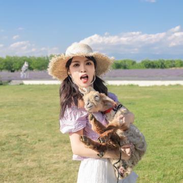 新疆北疆+乌鲁木齐+喀纳斯景区+赛里木湖8日7晚拼小团