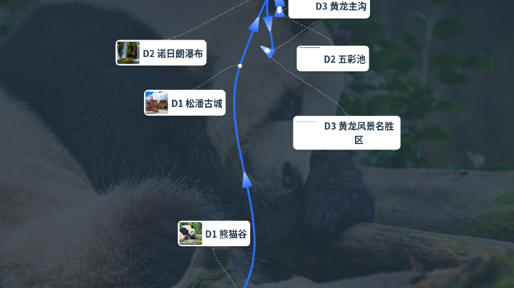 成都+2