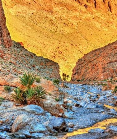 5D4N • 5 Days real tour from Casablanca to Marrakech via fes and sahara