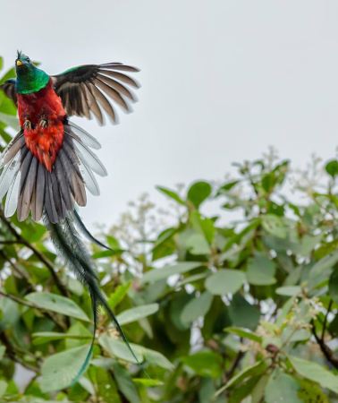 5D4N • Guatemala City: Semuc Champey, Copan, Quirigua & Rio Dulce