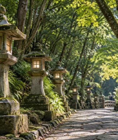 2D1N • Nara: 2-Day Omizutori Fire Ceremony at Todaiji Private Tour