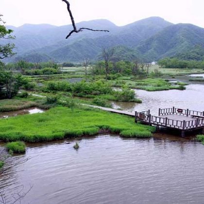 神农架+大九湖国家湿地公园+长江三峡+三峡大坝4日3晚跟团游