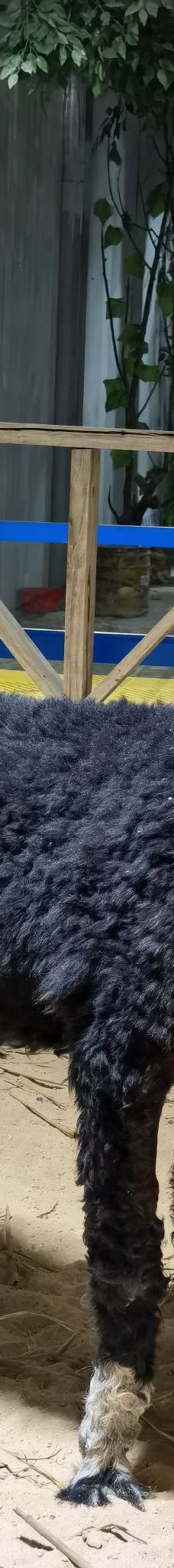 石林冰雪海洋世界-石林