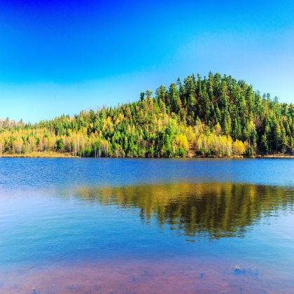 汤旺河林海奇石风景区+金山鹿苑+五营红松林海景区+上甘岭溪水国家森林公园+中央大街+哈尔滨索菲亚广场+东北虎林园+太阳岛风景区5日4晚私家团