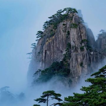 上海+乌镇+绍兴+杭州+千岛湖+徽州古城+黄山风景区11日10晚私家团