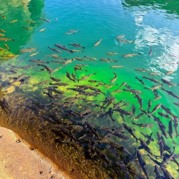 武夷山+天游峰3日2晚自由行