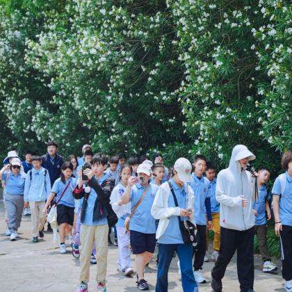 科学探索·5天4晚杭州夏令营 | 中国硅谷-杭州 科技探索—机器人小镇+浙江大学+阿里巴巴+申昊科技+强脑科技 | 未来已来，名校名企游，深度探索杭州科技独角兽，解码浙江创新科技