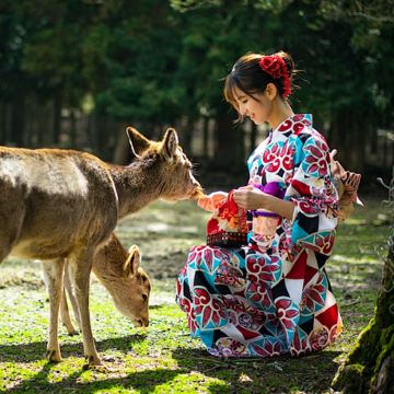 日本大阪+京都+奈良5日4晚跟团游