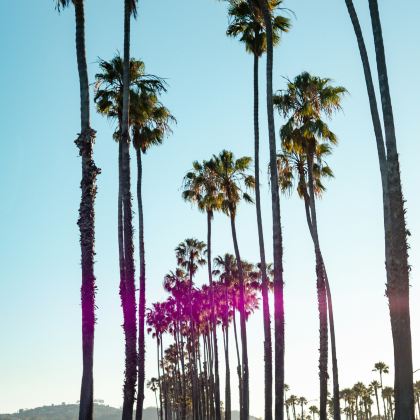 美国洛杉矶+旧金山+加州1号公路13日11晚私家团