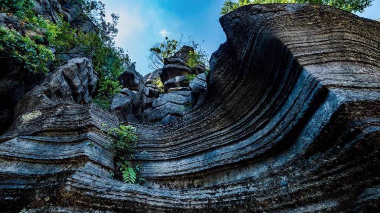 8-day 7-night · Private Tour · Enshi City + Shennongjia + Yichang