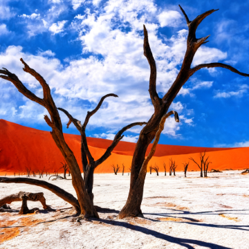 纳米比亚+博茨瓦纳+津巴布韦+赞比亚15日12晚跟团游