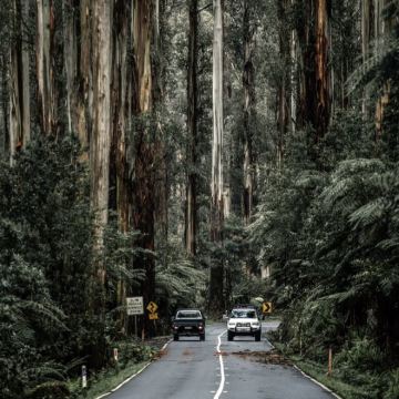 澳大利亚6日5晚私家团