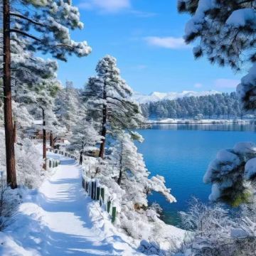 哈尔滨+长白山5日4晚私家团