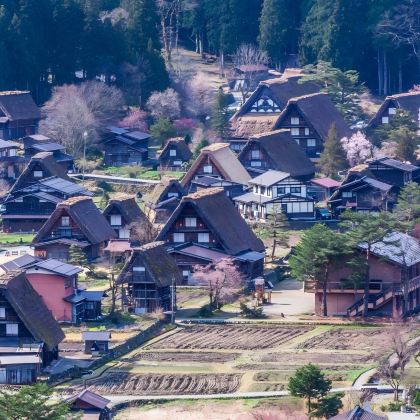 日本名古屋+白川乡+飞弹高地5日4晚跟团游