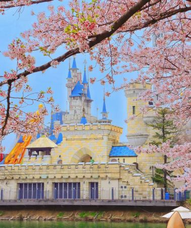 2D1N • A Great Travel Destination: South Korea + Seoul