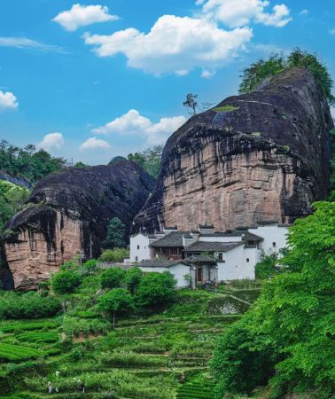 3D2N • Wuyishan - Tianyou Peak - Jiuquxi Bamboo Rafting - Tea and Hanfu Culture Immersion