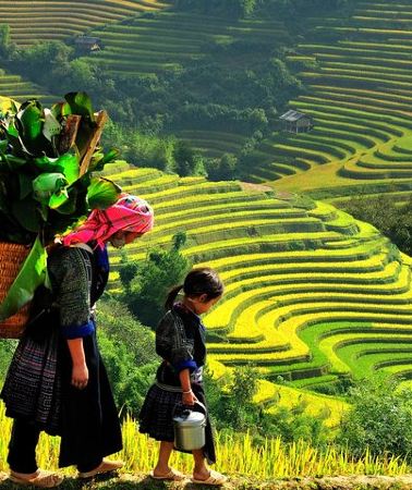 2D1N • Sapa 2 Days 1 night - Overnight in Hotel 3* With Mountain View