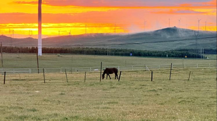 4-Day Tap bottom left for full itinerary + Inner Mongolia + Inner Mongolia: Millennia-Old Culture and Stunning Scenery. Huiteng Xile Grassland. Ulan Hada Volcano . Xiangshawan