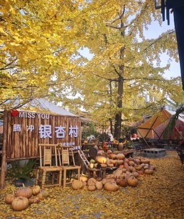 6日5晚 • 「金秋銀杏季」昆明，騰沖，探索異域邊城：熱海風景區觀大滾鍋，火山地質公園俯瞰火山口，和順古鎮citywalk，非遺皮影戲