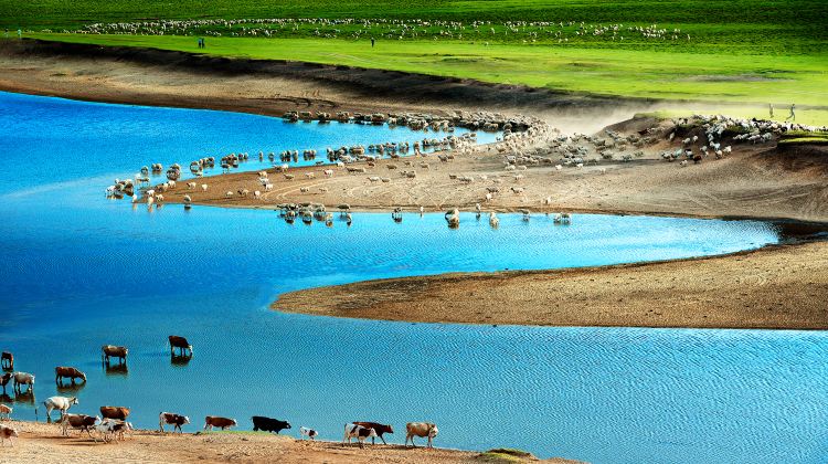 5-Day Northern China Private Tour from Beijing·Chengde Mountain Resort, Simatai Great Wall, Saihanba | Grassland Mongolia Nadam Festival | Ewenki Reindeer Tribe Experience