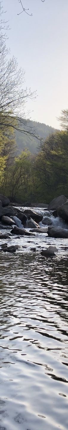 猴石国家森林公园-新宾