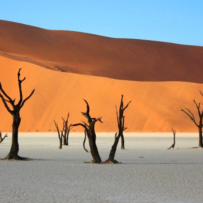 纳米比亚纳米布沙漠+Dune 45+死亡谷+埃托沙国家公园+奥奇瓦龙戈+Cheetah Conservation Fund11日跟团游