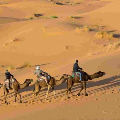 突尼斯+摩洛哥+埃及17日15晚跟团游