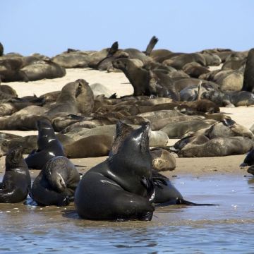南非10日7晚自由行