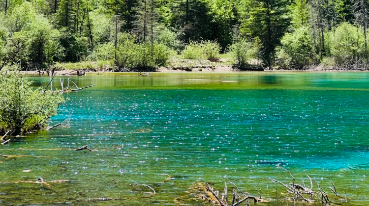 9-Day Sichuan-Chongqing Dual-City Tour: Jiuzhaigou & Hongyadong. Contact customer service for complimentary family room upgrade in downtown Chengdu, free customized private itinerary